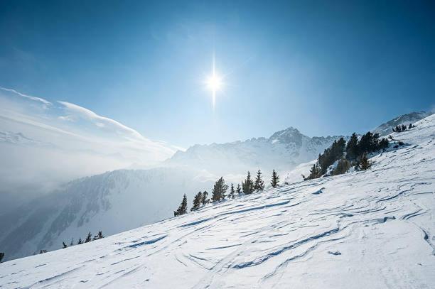 Hotel Les Alpes Allevard Exteriér fotografie